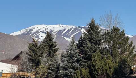 930 N 1st Ave, Hailey, ID 83333
