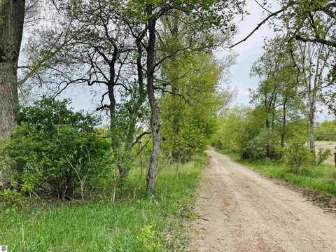 Parcel B1 W Packingham Road, Manton, MI 49663