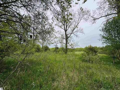 Parcel B3 Bosscher Road, Manton, MI 49663
