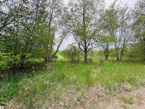 Parcel B2 Bosscher Road, Manton, MI 49663