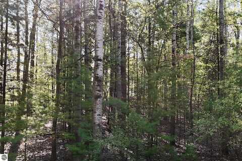 4616 Audubon Drive, Traverse City, MI 49686