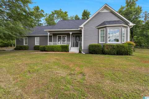 105 MOUNTAIN VIEW LANE, SPRINGVILLE, AL 35146