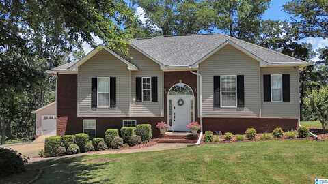 201 PAW PATH LANE, BLOUNTSVILLE, AL 35031