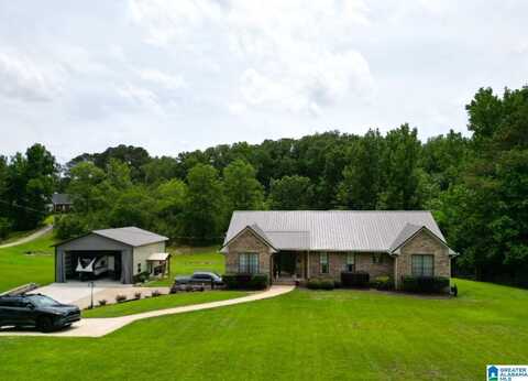 3455 SELF CREEK ROAD, WARRIOR, AL 35180