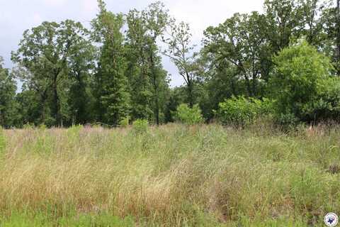 60 Akin Oak Dr., Texarkana, TX 75503