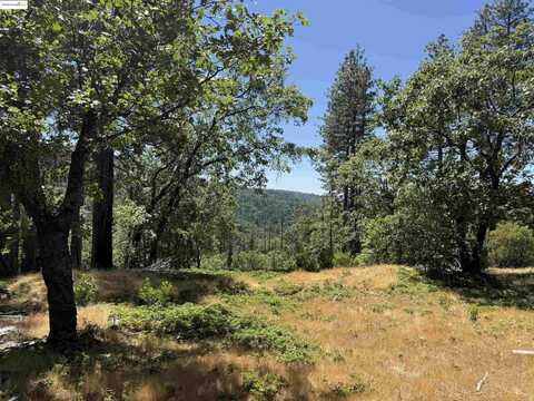 0000 Forest Service Road 3N50, Sonora, CA 95370