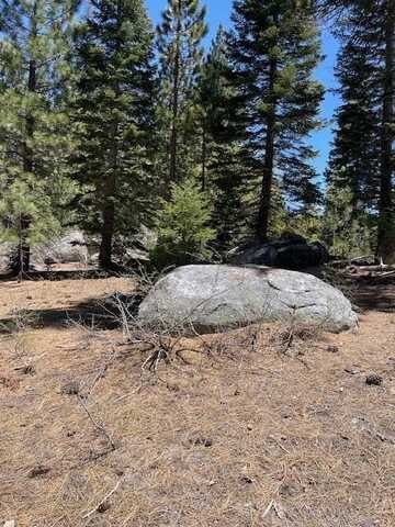58303 Carter Drive, Ponderosa, CA 93265