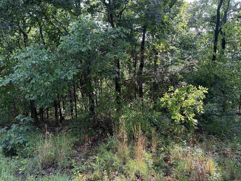 Lot 9 Island View Drive, Greers Ferry, AR 72067