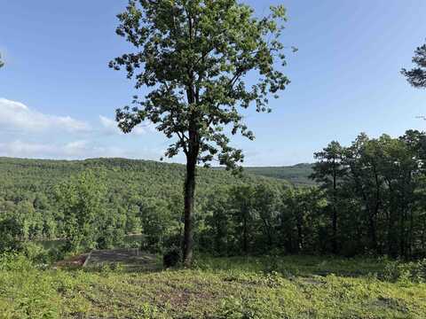 Lots 1,2,3,5 Island View Drive, Greers Ferry, AR 72067