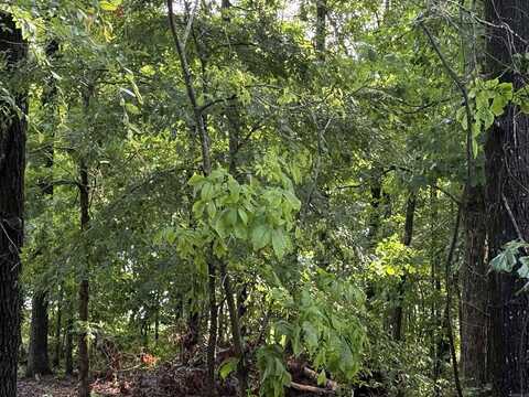 Lot 8 Island View Drive, Greers Ferry, AR 72067