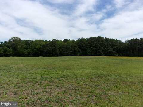 6011 BLUE HERON DRIVE, EAST NEW MARKET, MD 21631