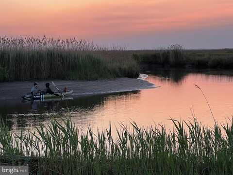 2229 ELLIOTT ISLAND ROAD, VIENNA, MD 21869