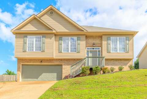219 Brently Woods Drive, Chattanooga, TN 37421