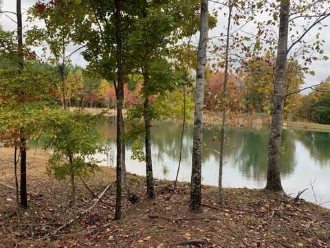 464 Moonlight Lane, Jasper, TN 37347