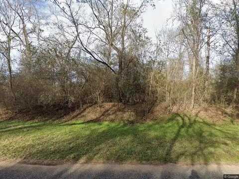 1136 RAYBON ROAD, ELLAVILLE, GA 31806