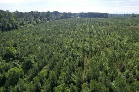 20 Acres - TBD Highway 260, Manning, SC 29102