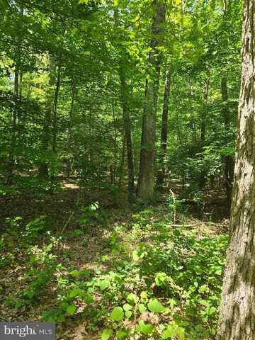 OLD HERALD HARBOR ROAD, CROWNSVILLE, MD 21032