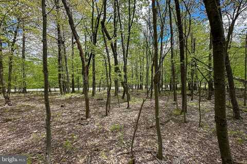 Lot 100 SNOWHAVEN LANE, MC HENRY, MD 21541