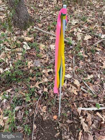 GEORGETOWN RD, CHESTERTOWN, MD 21620