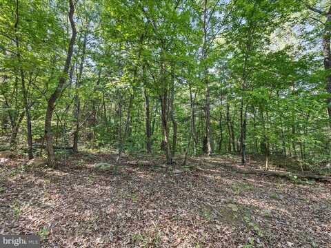 MOUNTAIN LAUREL DR, MOUNT JACKSON, VA 22842