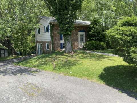 302 Hermitage Drive, Greeneville, TN 37745