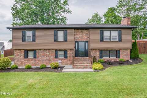 115 Dover Lane, Bristol, TN 37620