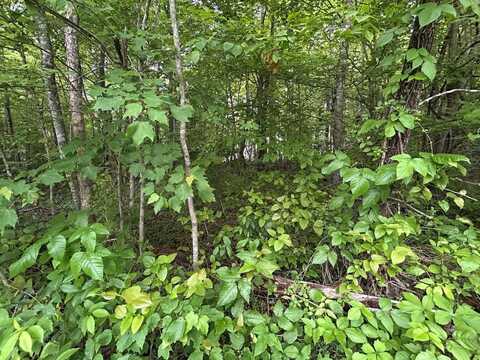 n/a Hensley Rd, Jamestown, TN 38556