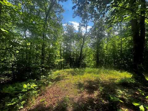 146 Fox Trail, Wartburg, TN 37887