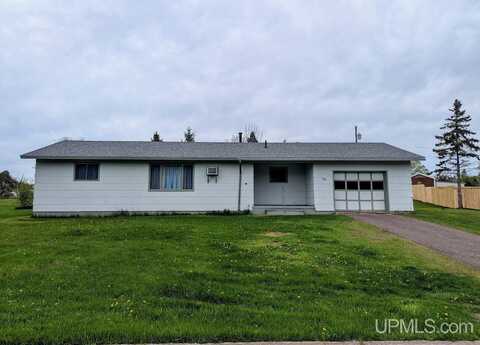 55 Tamarack, White Pine, MI 49971