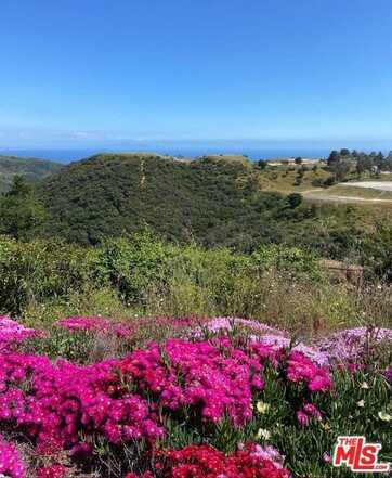 23208 W Paloma Blanca Dr, Malibu, CA 90265