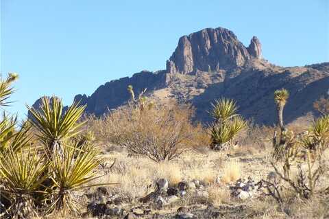 N Manor Street lot: 550, Dolan Springs, AZ 86441