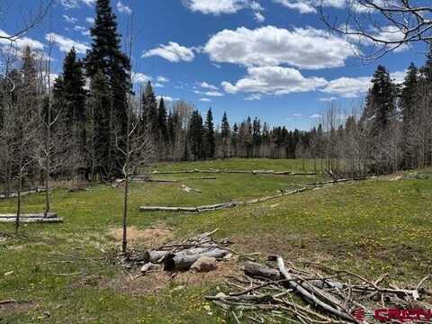 4558 Middle Mountain Road, Bayfield, CO 81122