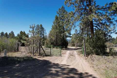 1043 Ranchland Drive, Pagosa Springs, CO 81147
