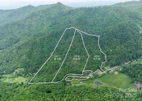 99999 Moody Cove Road, Weaverville, NC 28787