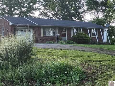2953 SR 384, Mayfield, KY 42066