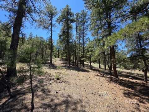 70 Arthur Ln., Texas Creek, CO 81223