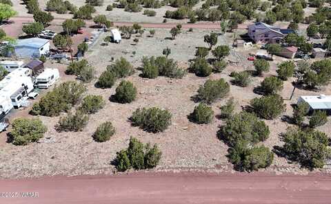 8544 & 48 Quail Run Drive, Show Low, AZ 85901