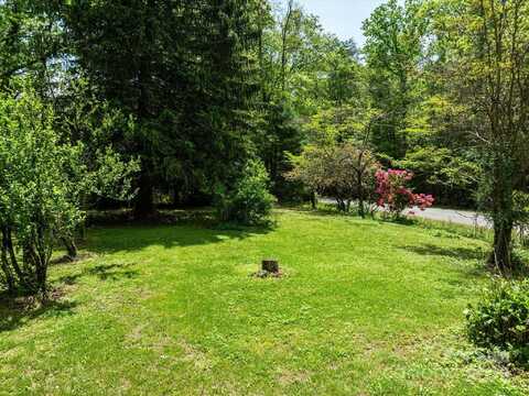 99999 Thumper Lane, Arden, NC 28704