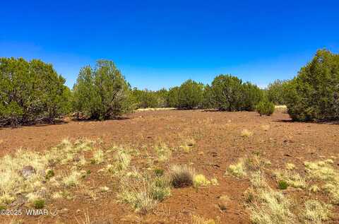 1528 Falcon Road, Show Low, AZ 85901