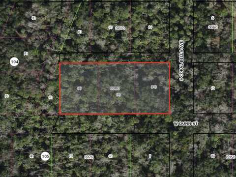 W DUNN, HOMOSASSA, FL 34448