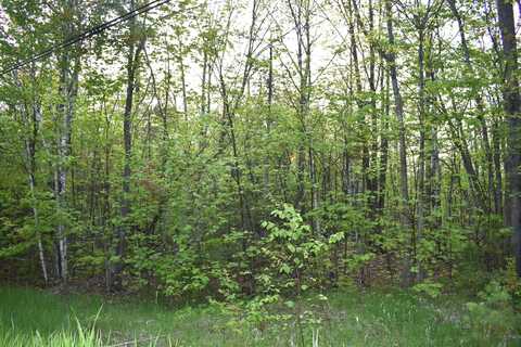 14236 Straitsview Drive, Cheboygan, MI 49721