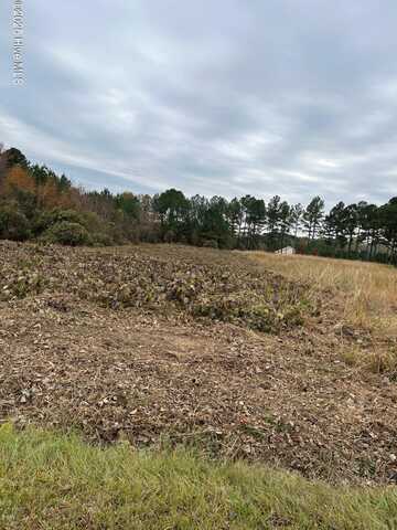 0 Liverman Mill Road, Ahoskie, NC 27910