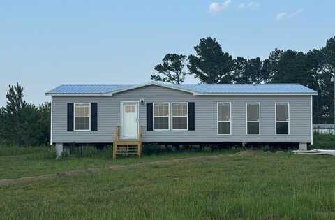 14 Longleaf Rd, Hazlehurst, GA 31539