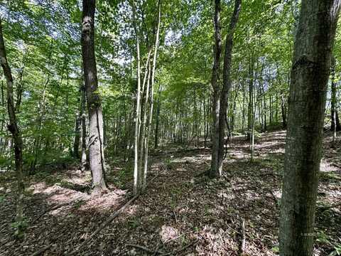 Lot 1 Rowland Rd, Hamden, OH 45634
