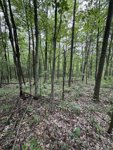 Lot 2 Rowland Rd, Hamden, OH 45634