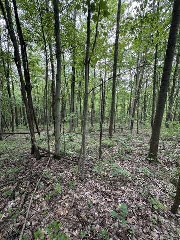 Lot 1&2 Rowland Rd, Hamden, OH 45634