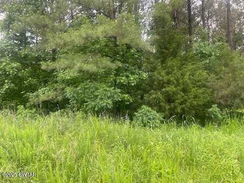 0 Bartlett Road, Reagan, TN 38368