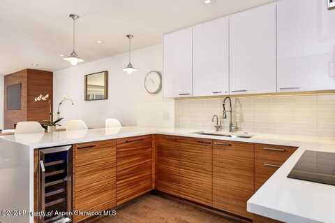 205 E Durant Avenue, Aspen, CO 81611