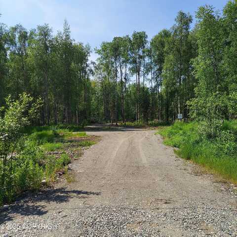 36534 S Long Branch Street, Talkeetna, AK 99676