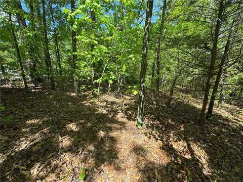 000 County Road 3216, Clarksville, AR 72830